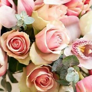 Meet your Posher, Maria